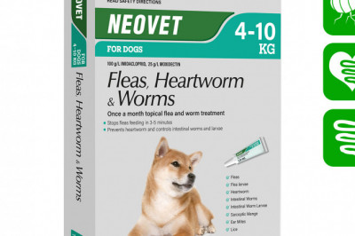 Neovet for Dogs 4 to 10 Kg AQUA Flea Heartworm Worm Treatment