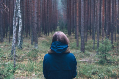 septic tank pumping cost average cleaning local water hauling