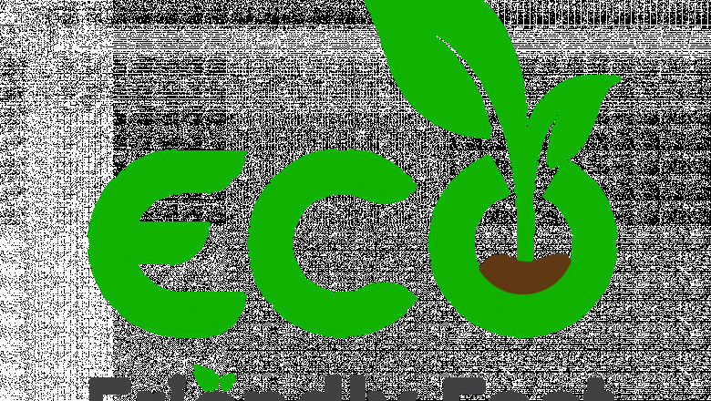 Top Easy Ways to Become Eco-Friendly | Read Here