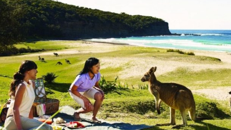 What is the interaction for talented migrants to Australia from UAE