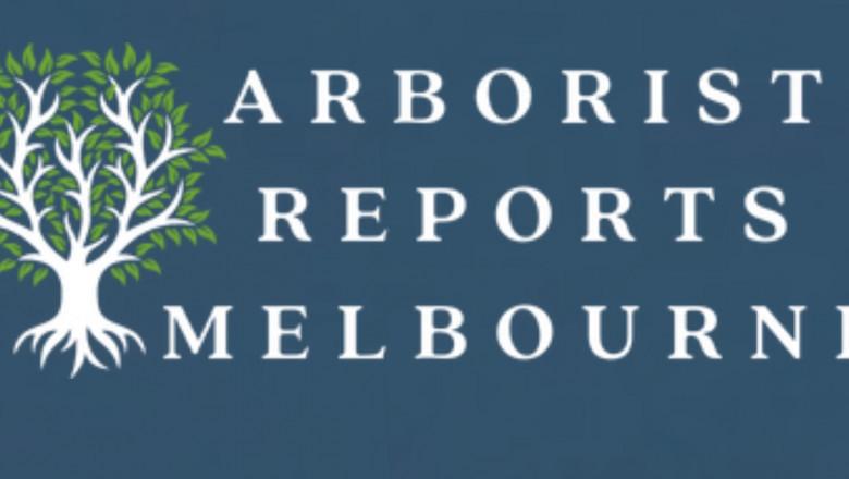 Arborists and Why You need to Hire Them