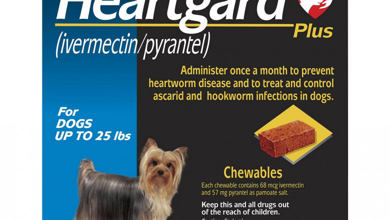 Buy Heartgard Plus for Dogs Online | Lowest Price Guarantee