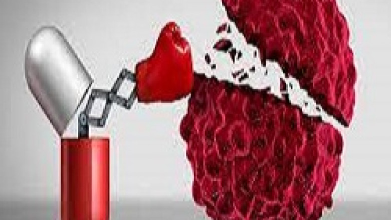 Immunotherapy Drugs Market Growth 2022 : Movements by Key Findings, Industry Impact, Latest Trend Analysis, Progression Status, Revenue Expectation to 2028