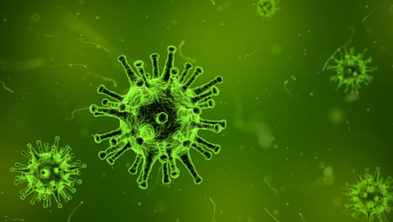 Pharm.D. (Doctor of Pharmacy)