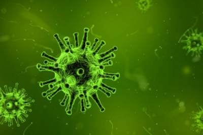 Pharm.D. (Doctor of Pharmacy)