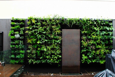 Vertical Garden Melbourne