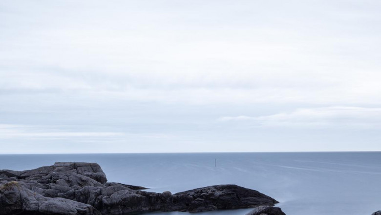 what freud can teach us about vox jewlary