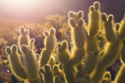 15 best cheap sport nfl jerseysjustin turner jerseywholesalejerseyzcomcustom jerseysnba jerseysnhl jerseys bloggers you need to follow