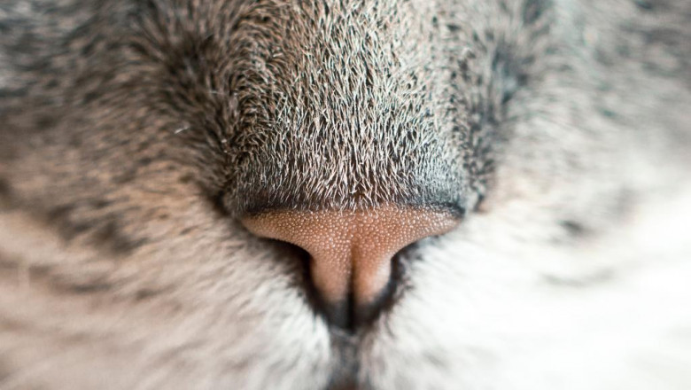 harga atap spandek makassar dari pikiran para ahli bakal kalian