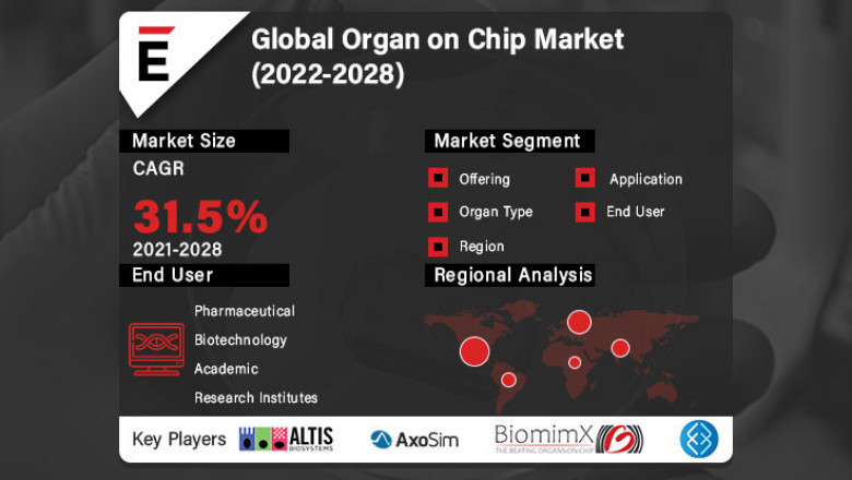 Organ on Chip Market is projected to grow USD 173.3 Mn in 2028, at a CAGR of 31.5%
