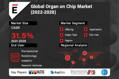Organ on Chip Market is projected to grow USD 173.3 Mn in 2028, at a CAGR of 31.5%
