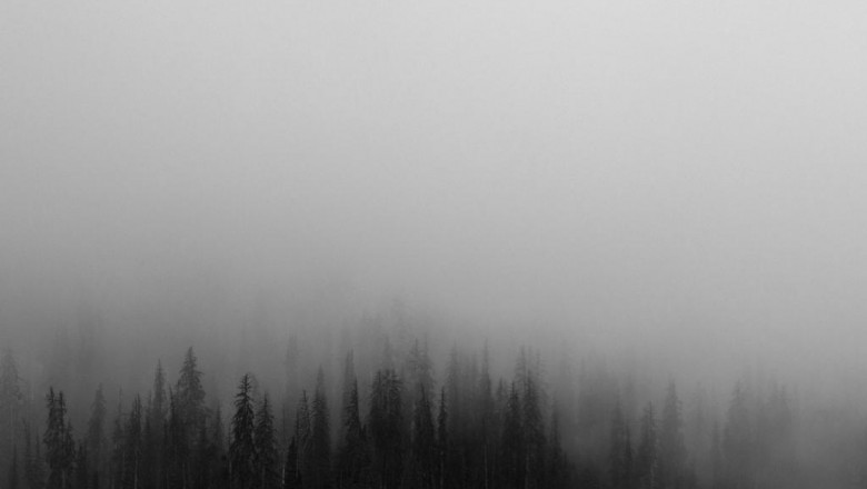 showcasing your brand on videos