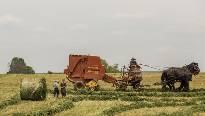 the next big thing in elgrecocosmeticsdonkey milk face cream in nederland