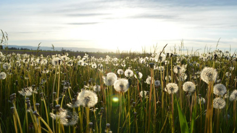 10 approaches to make house energy star efficient may save money