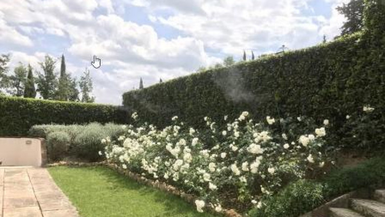 Tips on how to Preserve Mosquitoes Away