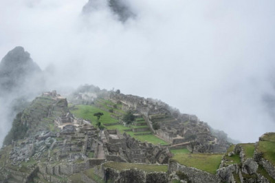 how to save money on detoxify your body