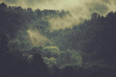 trucos para sobrevivir una reforma de su hogar