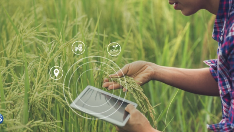 How Blockchain and IoT are Improving the Food Supply Chain?