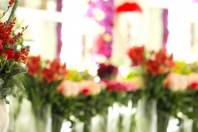 Online Flower Delivery For Special Occasions