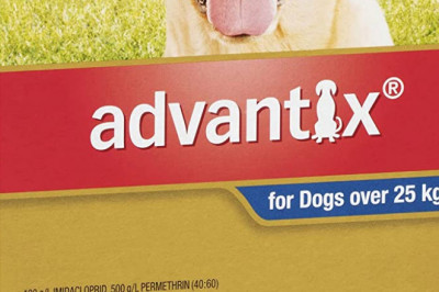 Advantix Flea, Tick & Biting Insect Control for XLarge Dogs, Blue 6 Pack