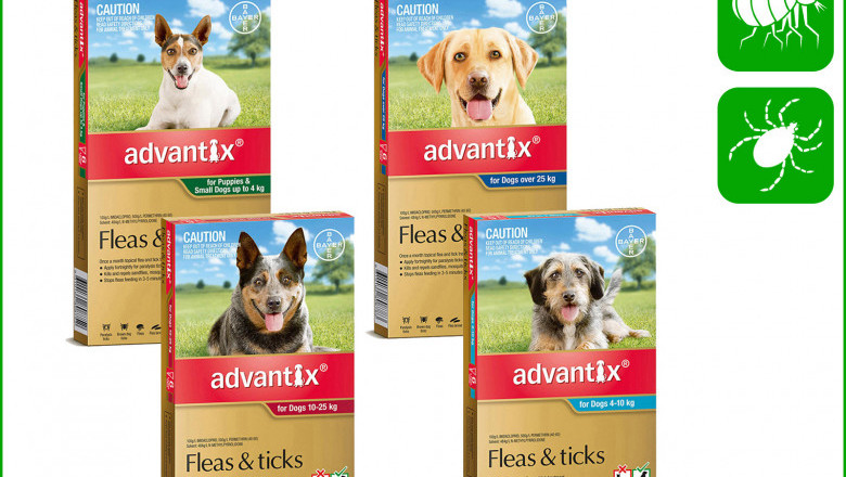ADVANTIX for Dogs 6 Pipettes Flea and Tick Treatment