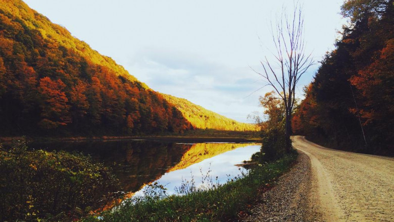 distinction in between digital advertising and marketing and also search engine optimization with table