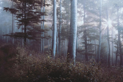 ronaldo ngoan muc thoat khoi tu vu kien hiep dam tai my