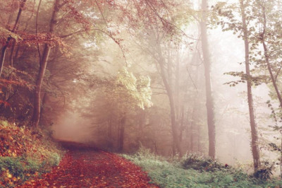 techniques of massage whats your favourite