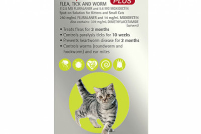 Bravecto Plus For Small Cats 1.2 – 2.8 Kg Green | DiscountPetCare