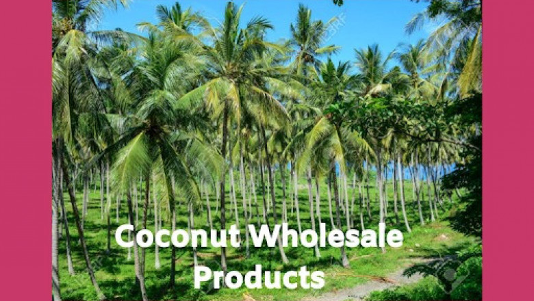 coconut kangayam copra market rate app