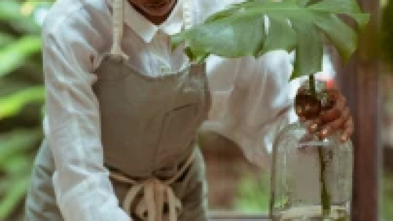 Different Types Of Housekeeping Services You Need To Know