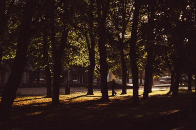 from around the web 20 fabulous infographics about peyton manning super bowl 50 navy blue tshirt cheap