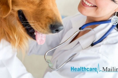Purchase our competitively priced veterinarian email addresses and achieve your business goals.