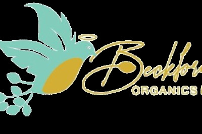 Bedtime Tea - A Healthier Choice