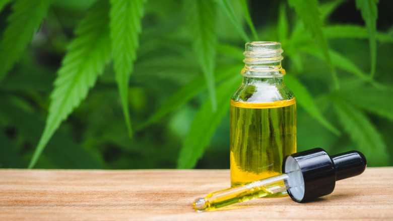 Europe CBD Oil Market 2021: Analysis, Trends, Growth, Outlook and Forecast 2026