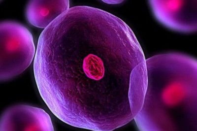 Global Cell Expansion Market: Share, Size, Growth, Opportunity and Forecast 2022-2028