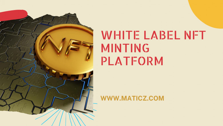 Make fortune by launching a steadfast NFT Minting platform
