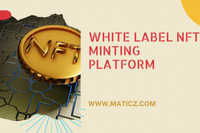 Make fortune by launching a steadfast NFT Minting platform