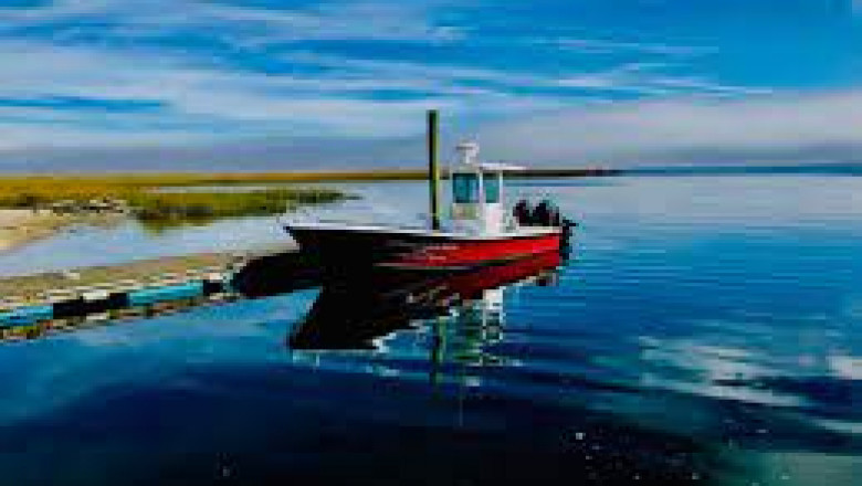 Arrange Tours of Whale Watching in Chatham MA