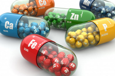 Everything you need to know about Vitamins