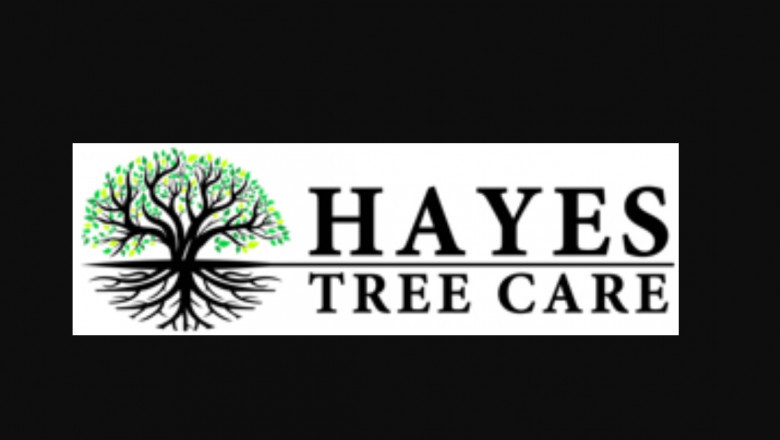 How Tree Lopping Services Can make Your Work Uncomplicated