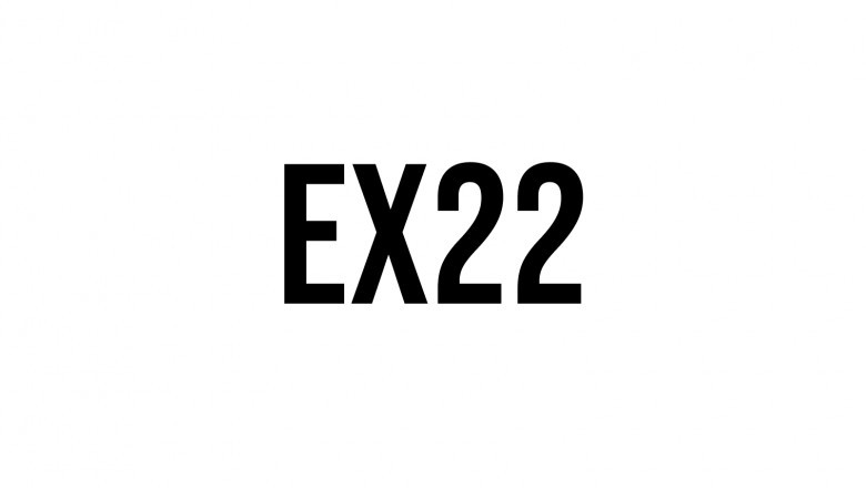 India's sports fantasy application | ex22