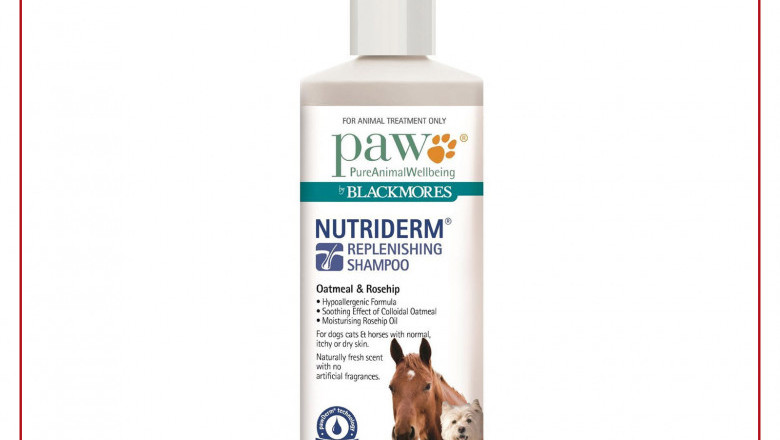 PAW Skin Care Nutriderm Replenishing Shampoo for Dogs and Cats 500 mL