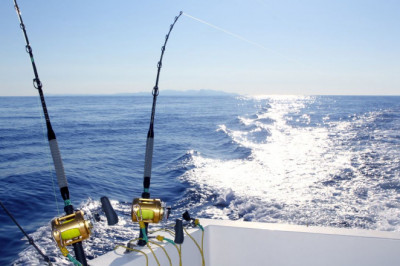 What Is Charter Fishing?