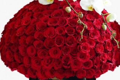 Celebrate Your Occasions with Highly Special Forever Roses