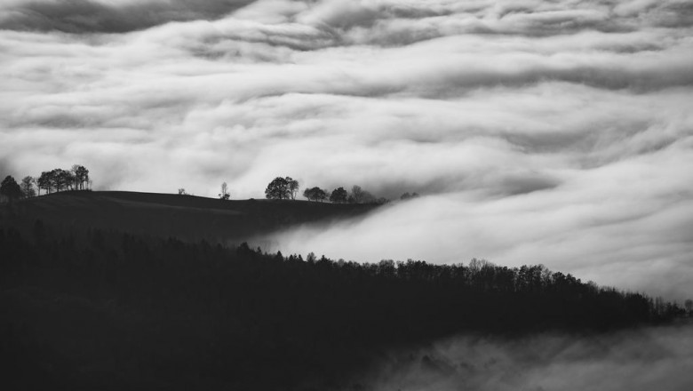 weekend break brow eyebrow tint