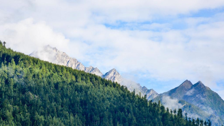 8 videos about spiritual life coach certification thatll make you cry