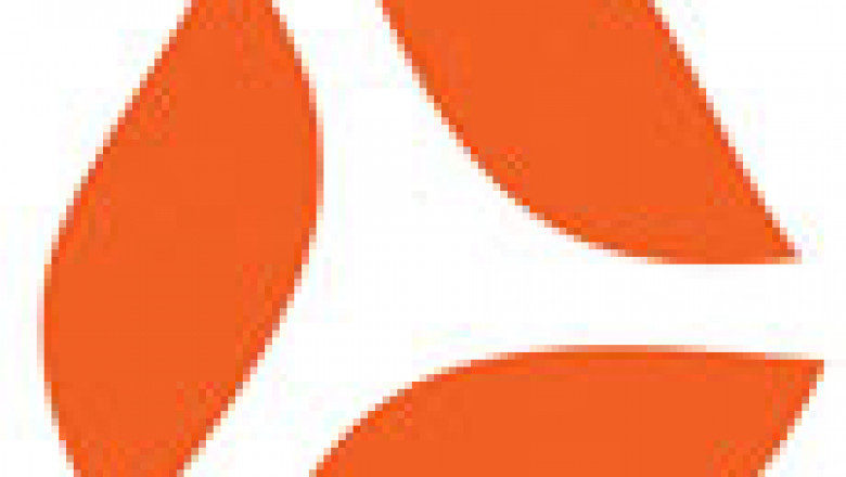 Buy Wholesale Women Ankle Pants Online