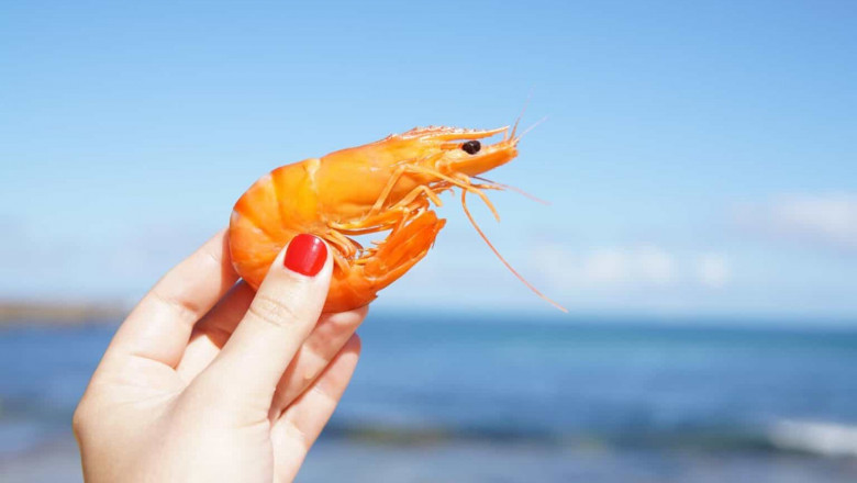 Shrimp Is A Versatile Food That Can Be Used In Stir-Fried Dishes, Pastas, Soups And Curries