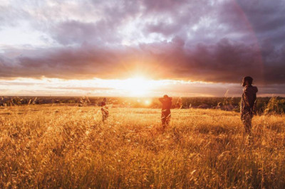 15 terms everyone in the black afghan strain industry should know